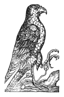 logo-baracchi-winery-black-il-falconiere-toscana
