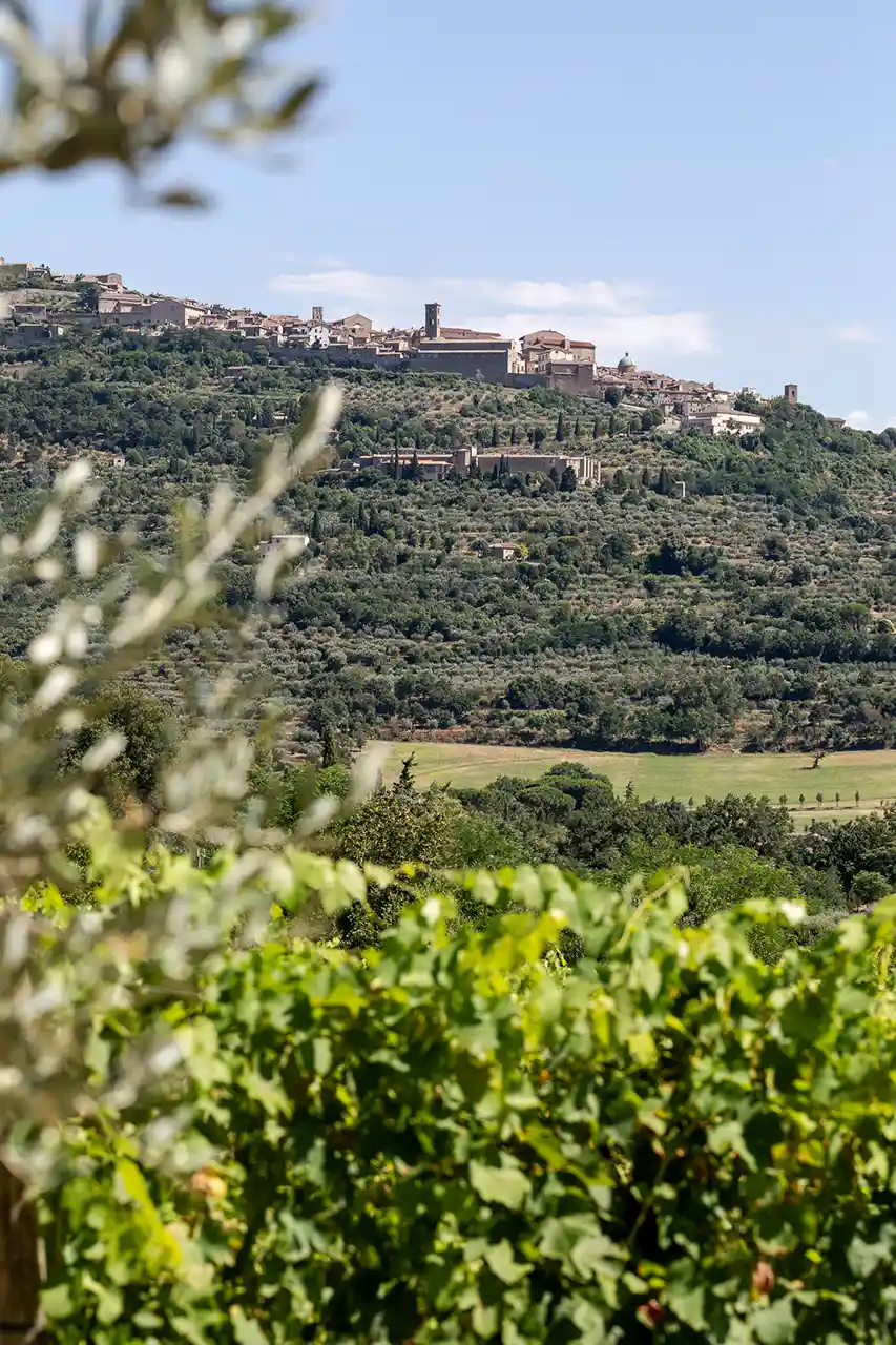 Panorama Cortona trekking experience